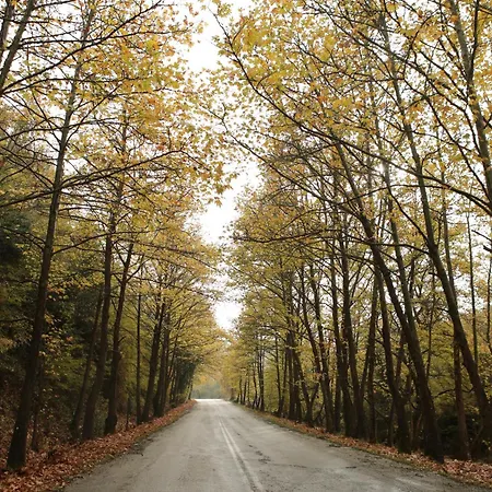 Heaven House * Kawala