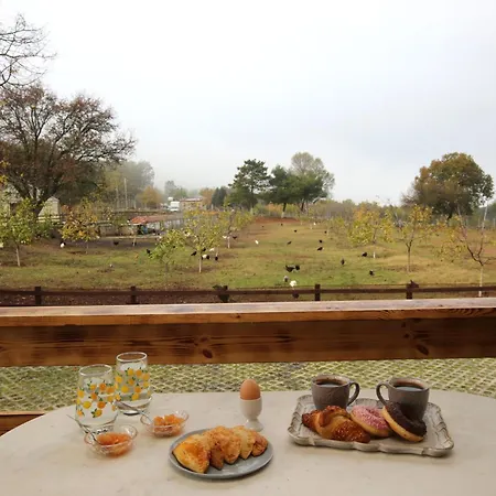 Dom wakacyjny Heaven House