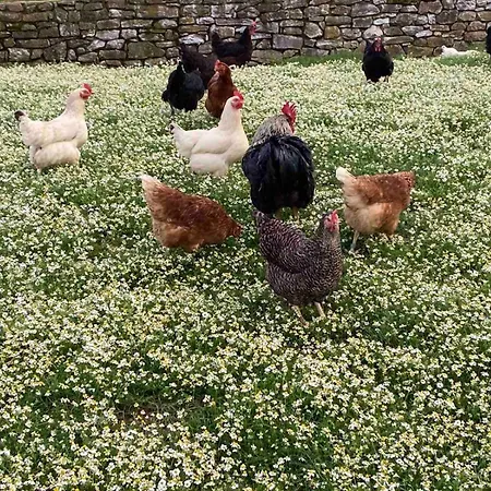 Dom wakacyjny Heaven House