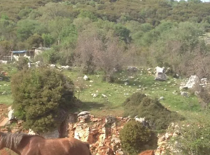 Heaven House Nyaraló